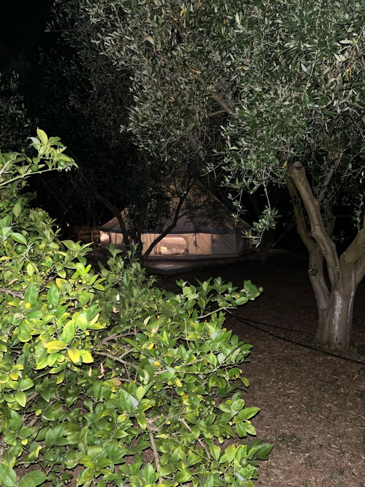 Eco Glamping With Pool Between Nafplio And Argos Exterior photo